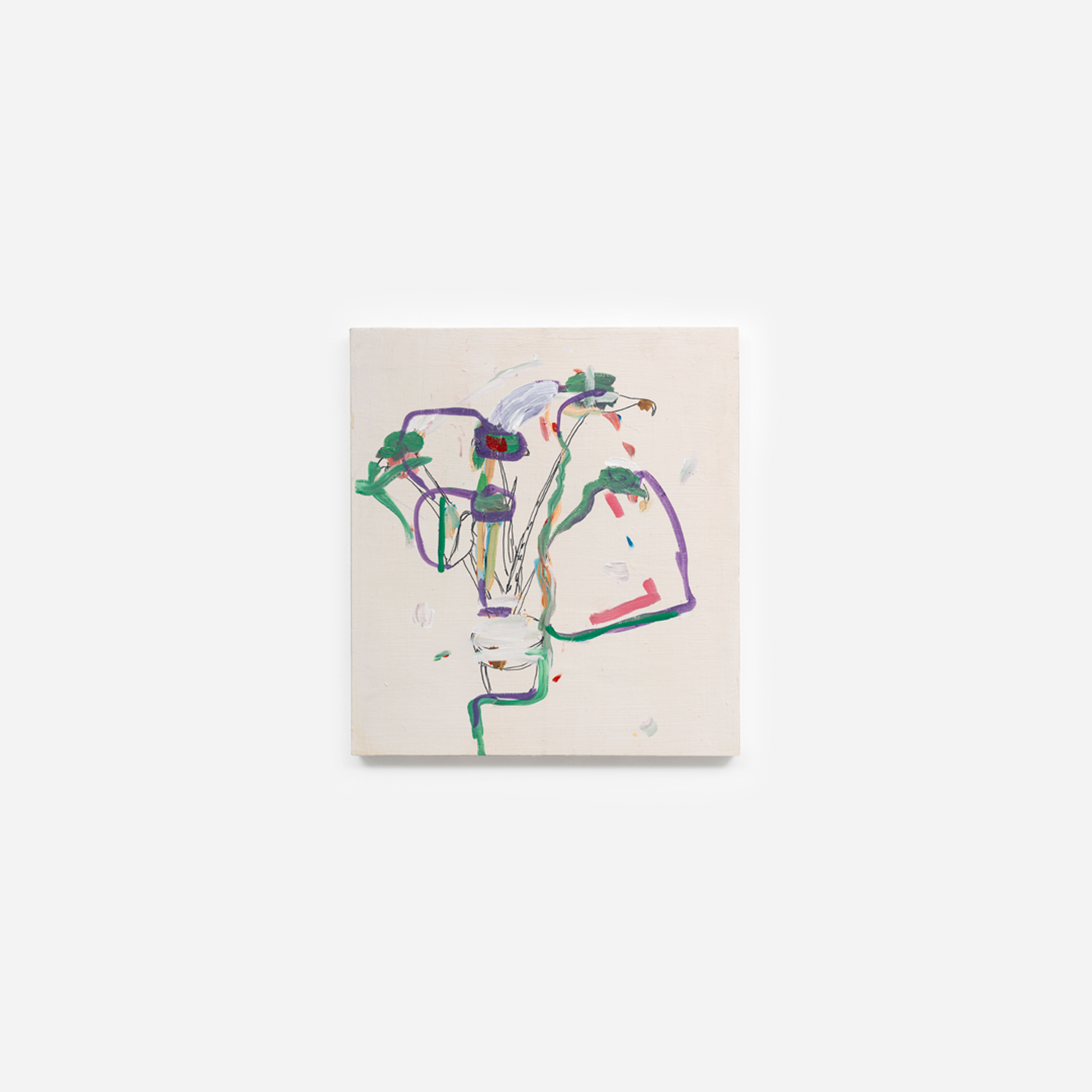 Visit / Plant